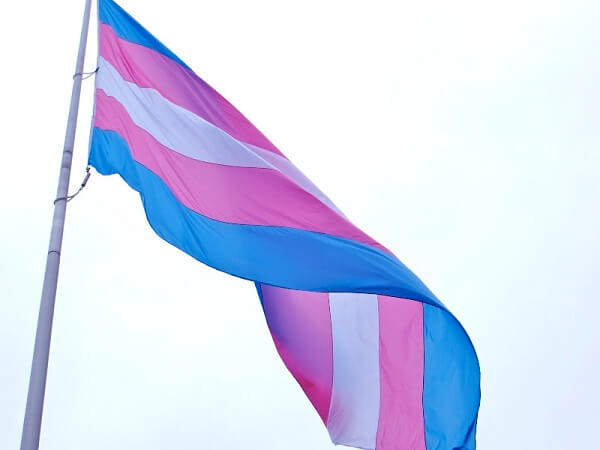 bandeira transexuais